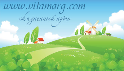 Обновленный дизайн сайта VitaMarg: Создание впечатляющего пользовательского опыта