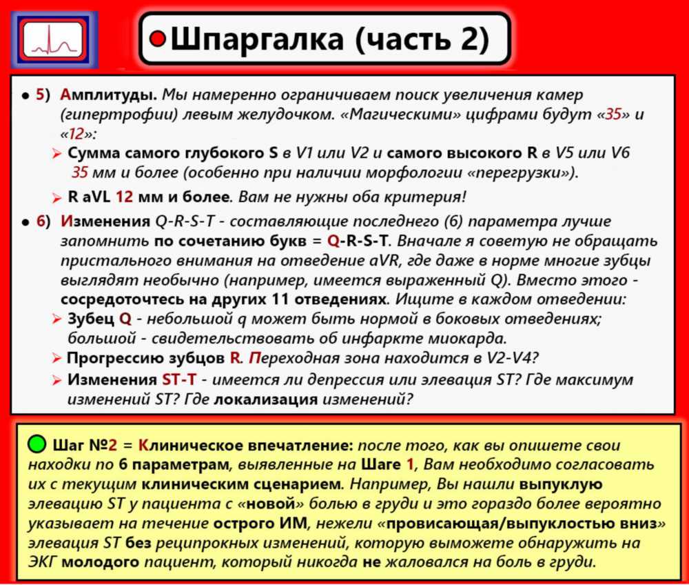 Глубокий взгляд в Электрокардиографию (ЭКГ): Основы Теории