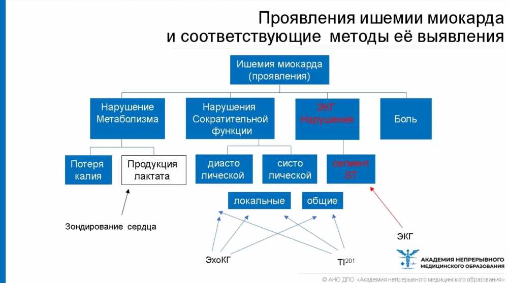 Ишемия: Понимание, Симптомы, Лечение и Профилактика