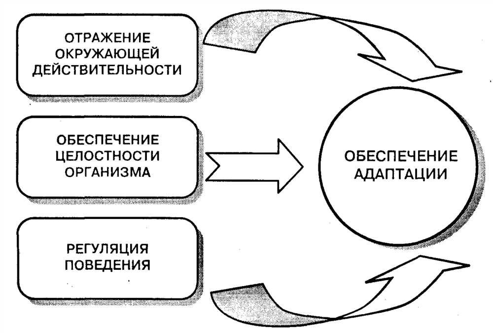 Исследуйте Глубины Психологии: Онлайн Словарь Психологических Терминов