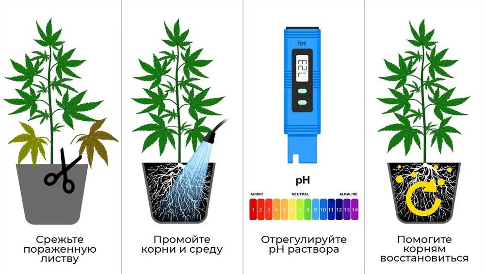 Избегайте Передозировки Мигом: Как Предотвратить и Распознать Проблему