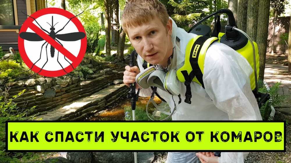 Как быстро снять зуд от укуса комара: эффективные аптечные средства и проверенные народные методы