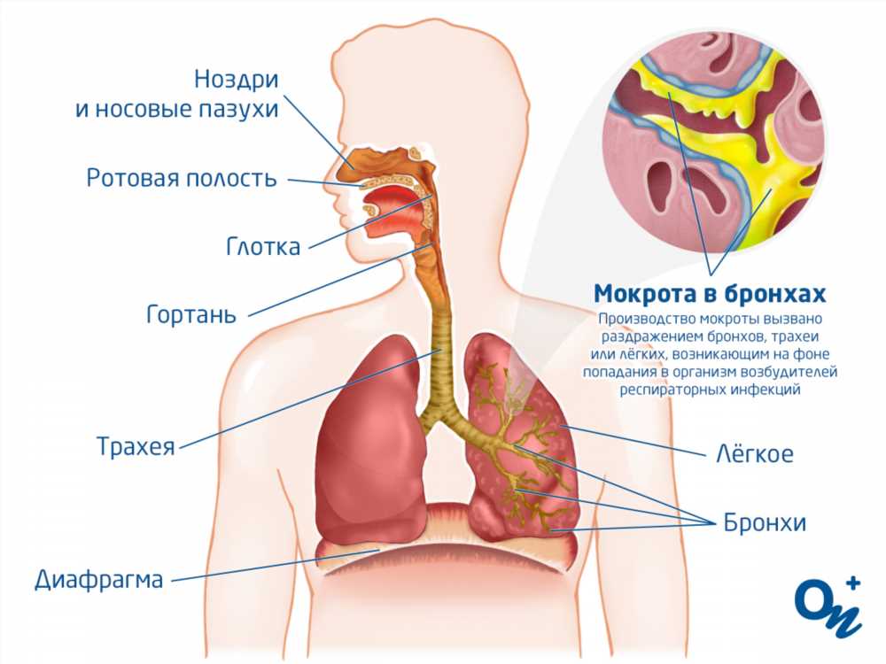 Как избавиться от кашля: эффективные методы и средства