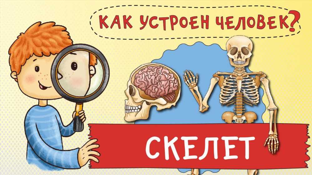 Как все устроено: Понятное объяснение для детей