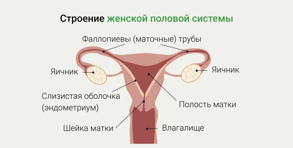 Кровотечение из влагалища: причины и способы диагностики