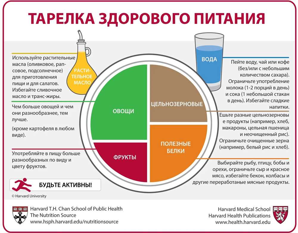 Питание птенцов: основные принципы и виды кормления