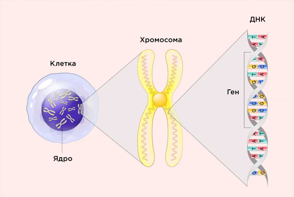 Причины развития болезни: влияние окружающей среды, генетика и образ жизни