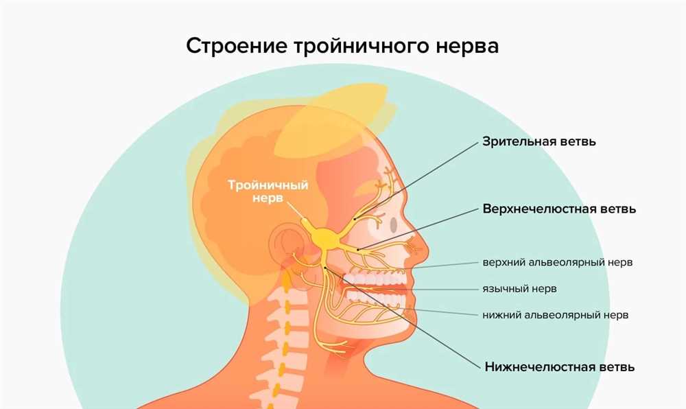 Все, что вам нужно знать о неврите лицевого нерва: симптомы, причины и методы лечения