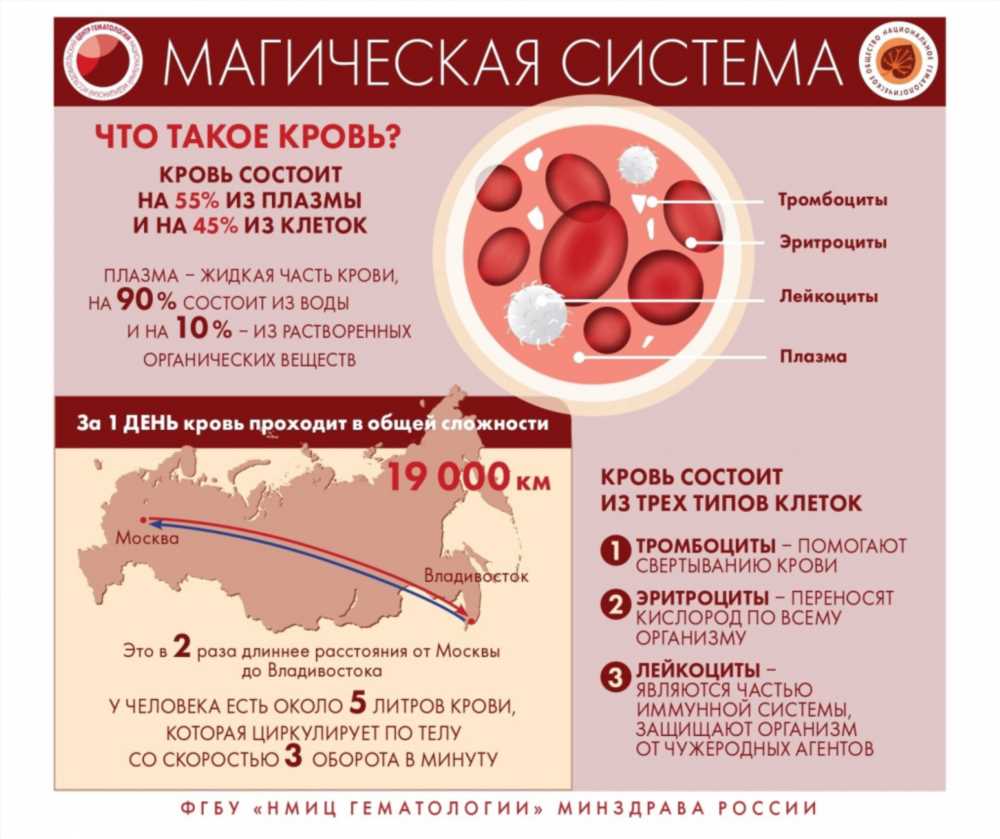 Заражение крови: причины, симптомы и методы профилактики