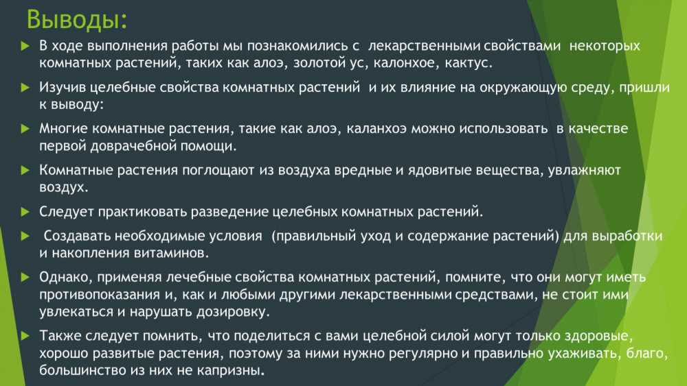 Золотой ус: Лечебные Свойства Растения, Открытые Исследования и Применение в Медицине